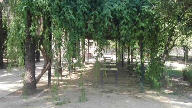 La Buhaira, un parque «dejado de la mano de Dios»