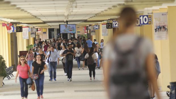 En la UPO sólo quedan plazas para estudiar Geografía, Historia y FICO