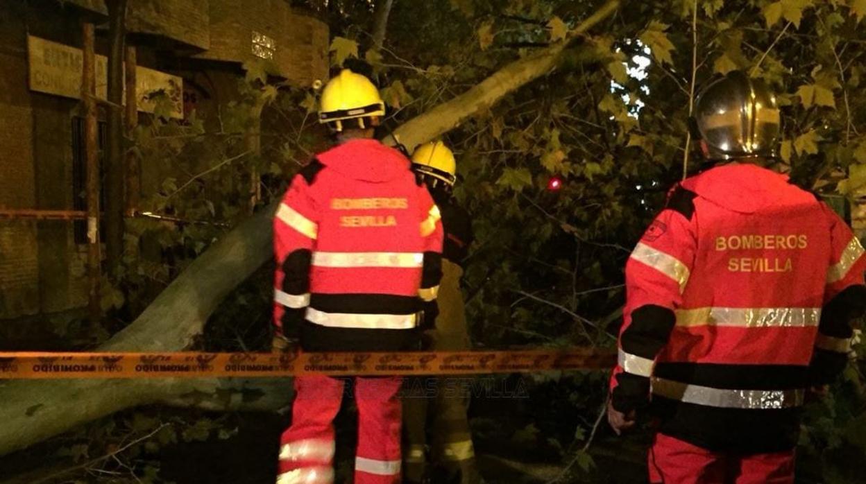 Bomberos atendiendo incidencias anoche