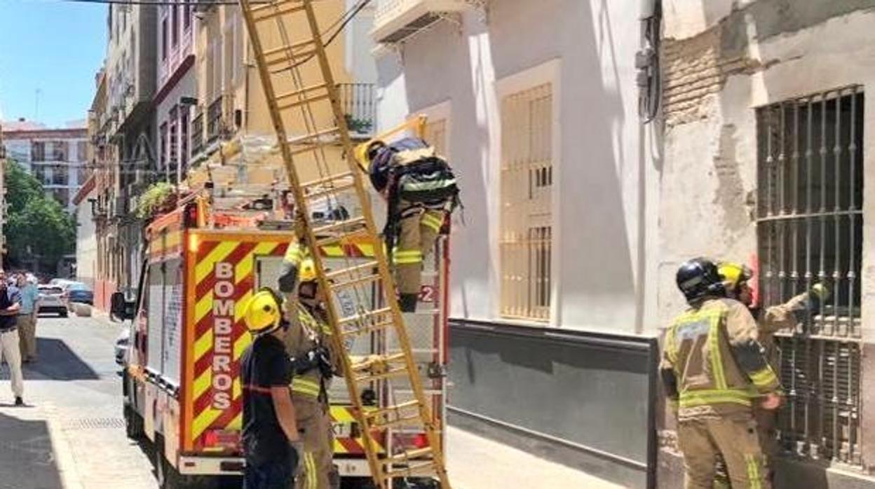 Bomberos de Sevilla en pleno acto de servicio