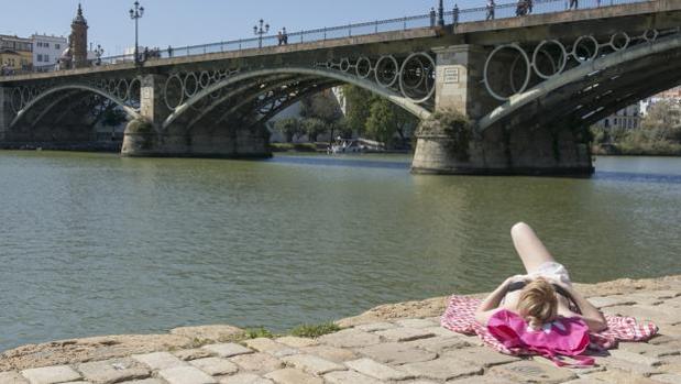 El tiempo en Sevilla: sol, cielos despejados y bajan las mínimas