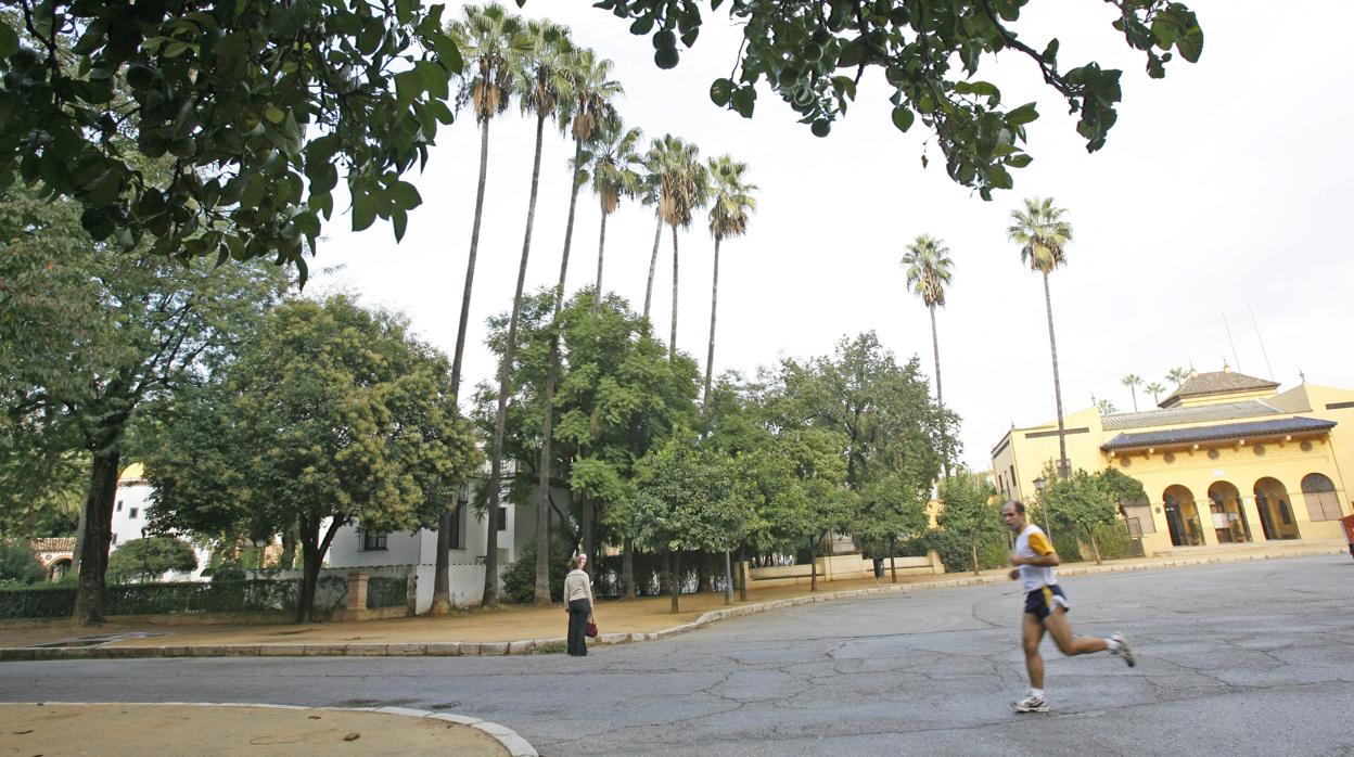 La ciudad de Seviilla disfrutará de un par de días sin precipitaciones a mediados de esta semana