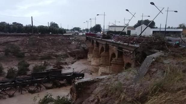 Plan alternativo de Renfe para las líneas Sevilla-Málaga, Sevilla-Granada y Madrid-Algeciras por las lluvias