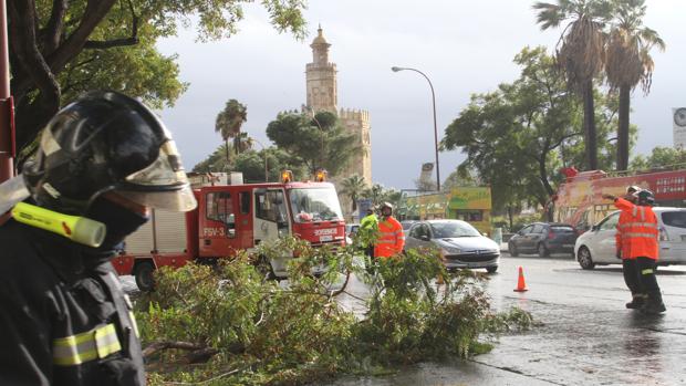 Inesperadas rachas de fuertes vientos de 82 kilómetros por hora en Sevilla