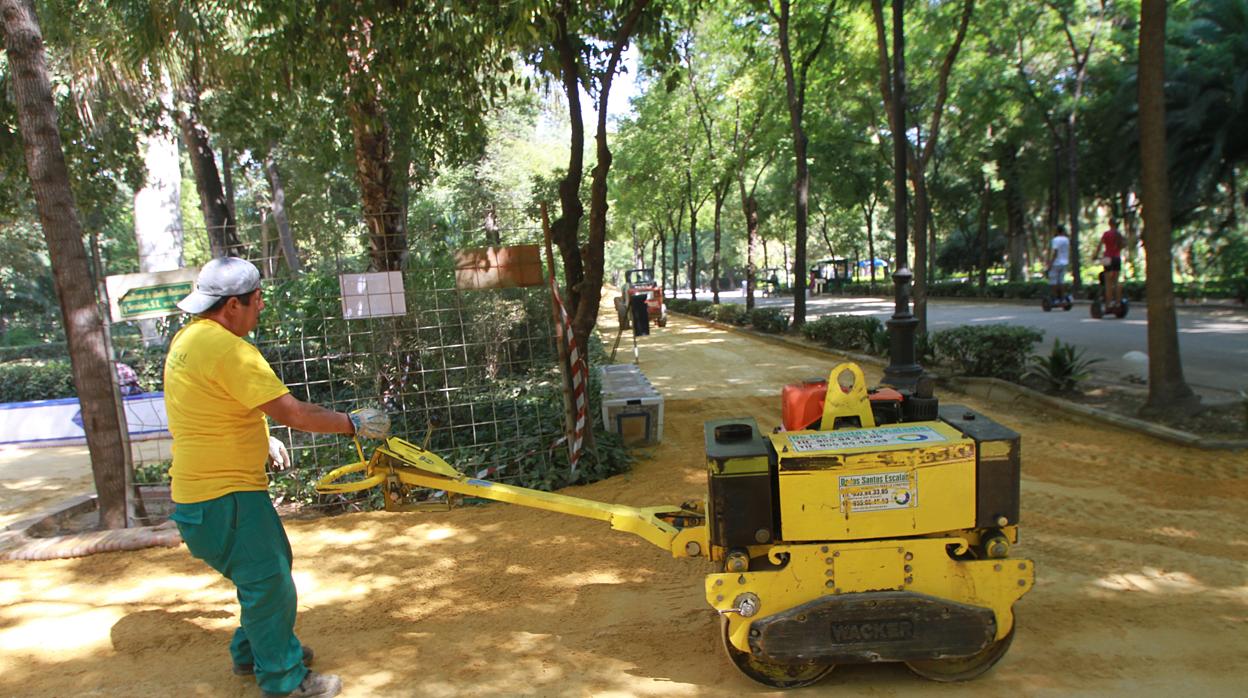 Un operario se afana en aplastar con una máquina el albero de una de las calles del Parque de María Luisa