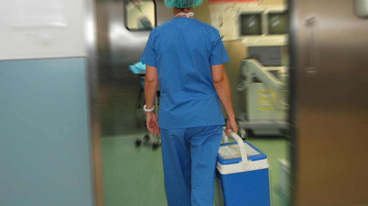 Personal sanitario transportando un órgano en una nevera