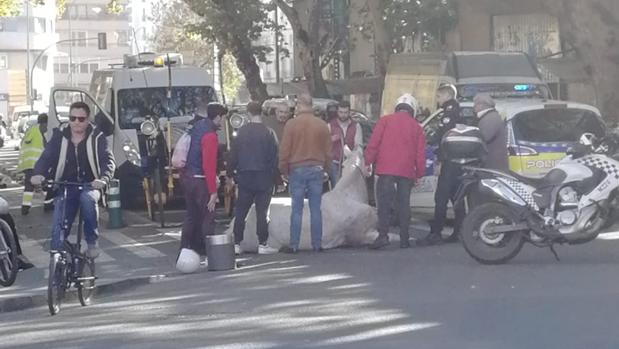 Un caballo se desploma y provoca retenciones en la Puerta de Carmona de Sevilla