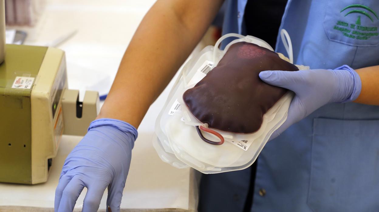 Puntos de donación de sangre esta semana en Sevilla