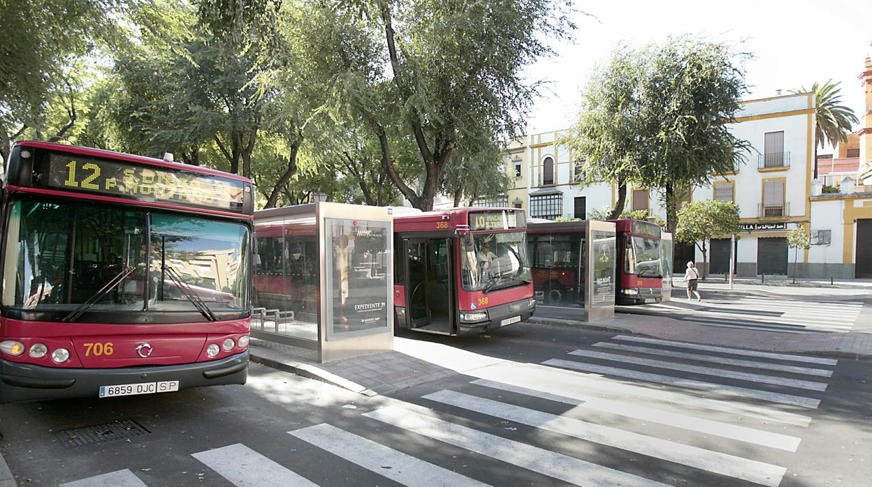 Autobuses de Tussam en parada de regulación en la Plaza Ponce de León