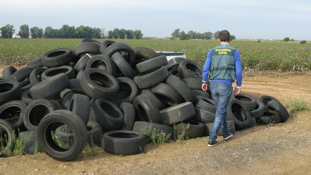 Investigan a una empresa por abandonar más de cien neumáticos junto a un camino rural en La Rinconada