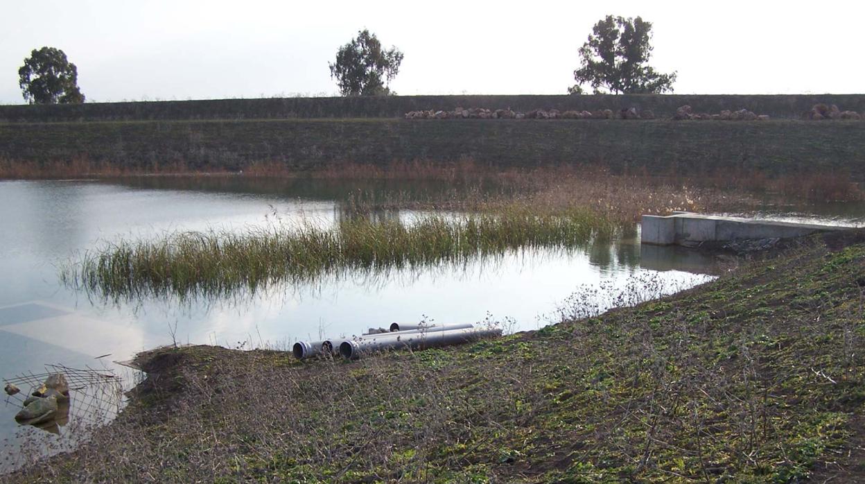 Las tuberías del proyecto estaban abandonadas en mitad de la marisma