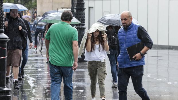 Herido al caer un rayo encima de la grúa donde trabajaba en Ciudad Jardín