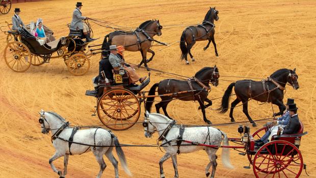 Los premiados de la exhibición de enganches de la Feria de Sevilla