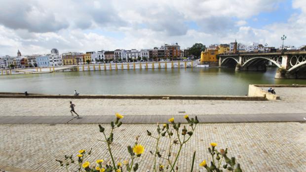 El Ejército montará un puente flotante entre Triana y Sevilla como en el siglo XII