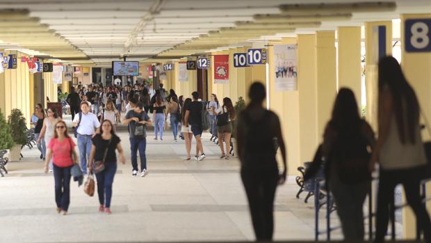 La Pablo de Olavide se sitúa entre las cien mejores universidades de Europa en docencia