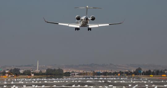 Un avión sobrevuela la zona acotada de la pista