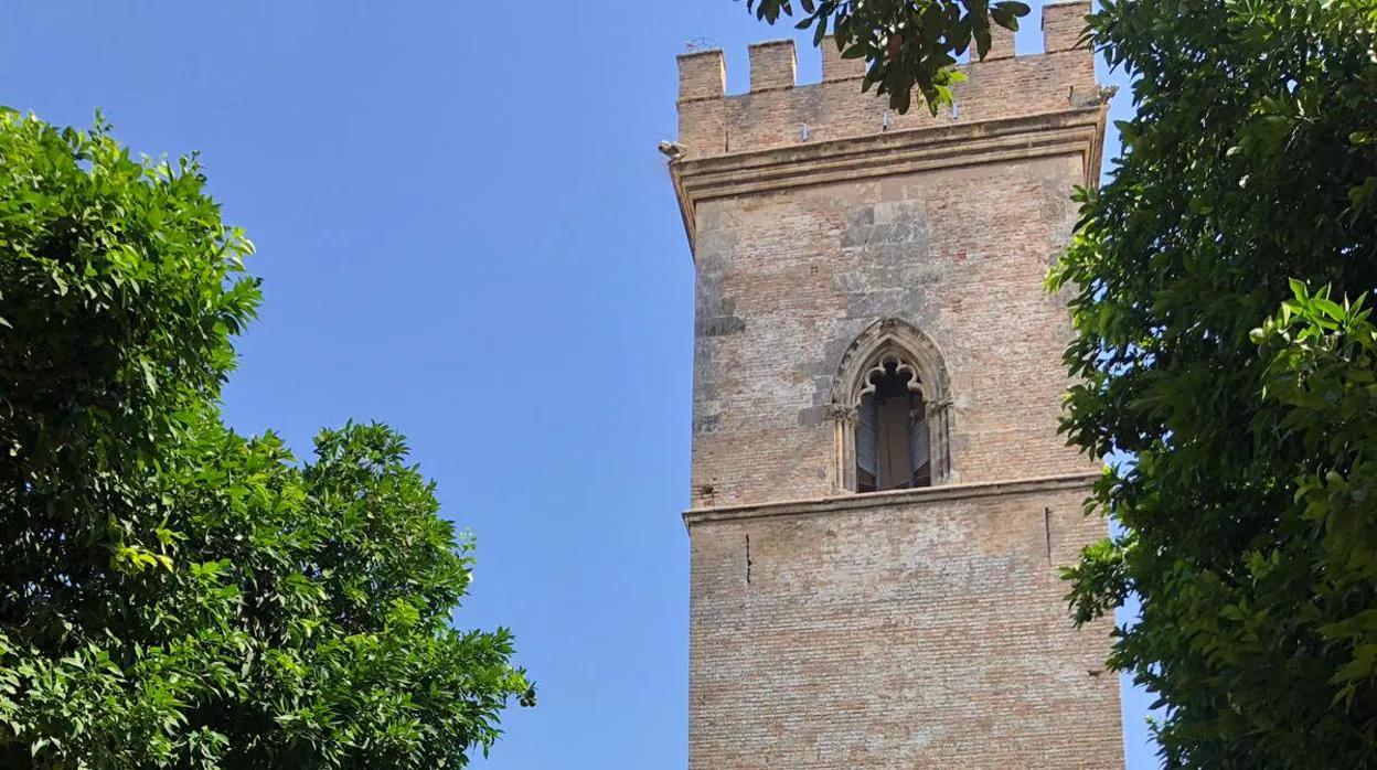 La Torre de Don Fadrique recibirá visitas a partir de 2021