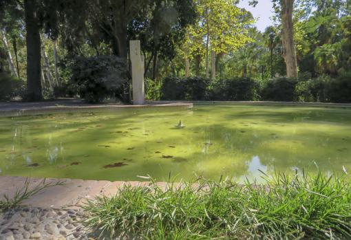 El agua permance estancada y sucia en las diferentes fuentes