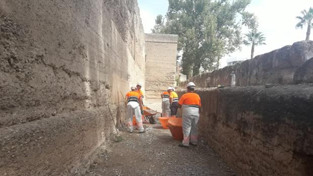 El Ayuntamiento retira tres toneladas de basura de la Muralla