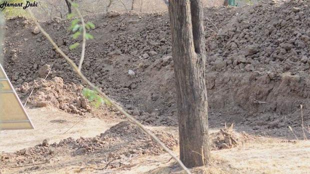 ¿Dónde está el leopardo? El nuevo reto viral que ha revolucionado las redes sociales