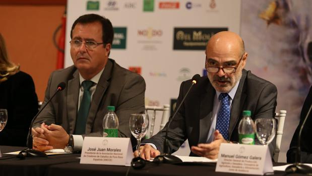 Álvaro Domecq vuelve al espectáculo de Sicab quince años después