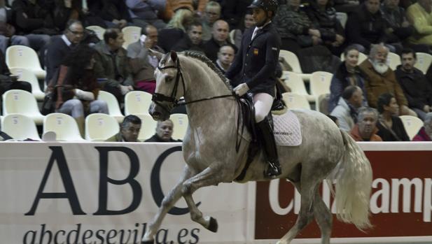 Arranca hoy Sicab 2019 con más de mil caballos y récord de participación