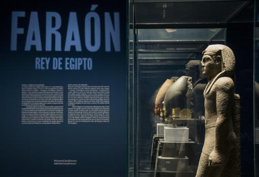 Imagen de la muestra «Faraón Rey de Egipto»