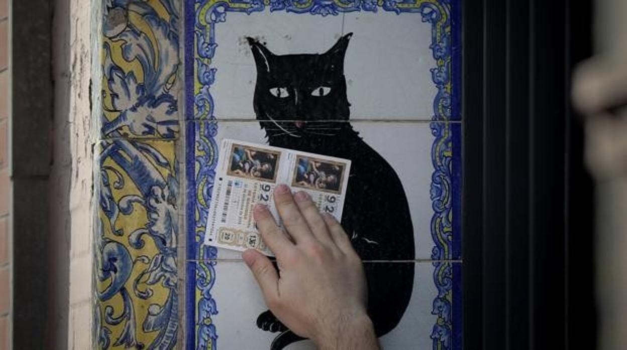 El gato negro en la administración de la Avenida de la Constitución, símbolo de la buena suerte lotera