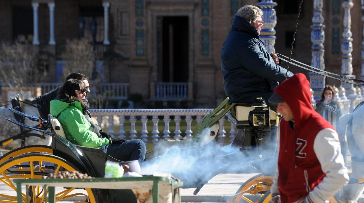 Tiempo en Sevilla: el frío ofrece una tregua con subidas en las temperaturas mínimas