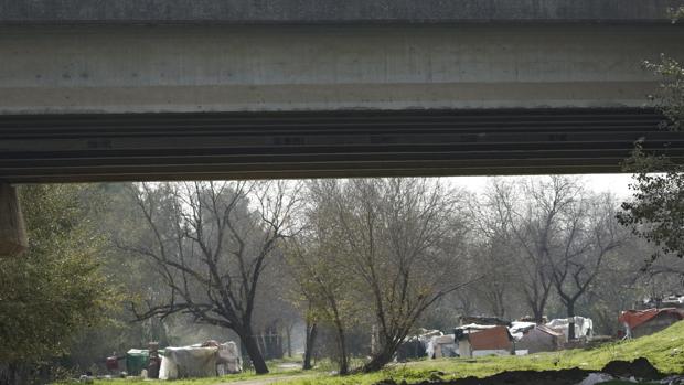 Fomento dice que no ve las chabolas de Sevilla porque están a 50 metros de los puentes, no justo debajo