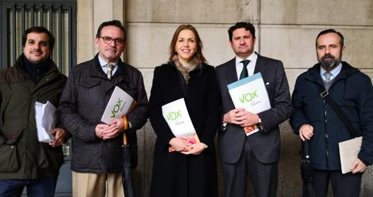 Los responsables de Vox en Sevilla, en la puerta de los juzgados