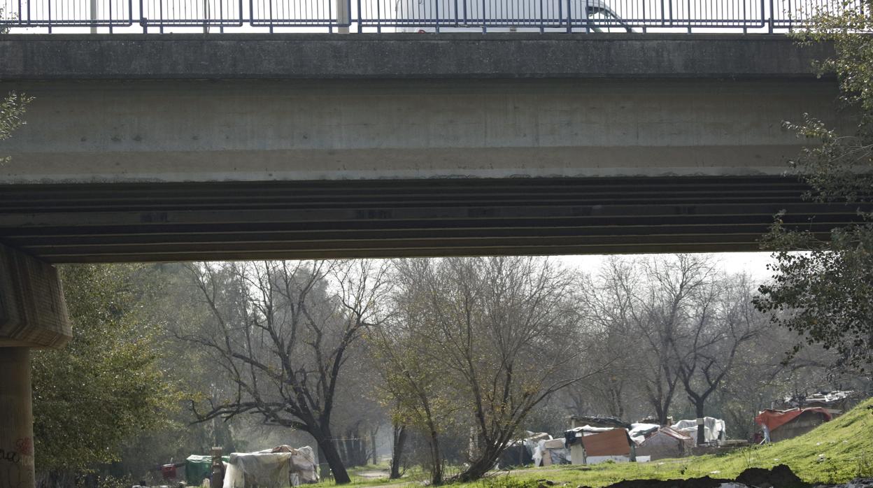 Chabolas bajo el puente