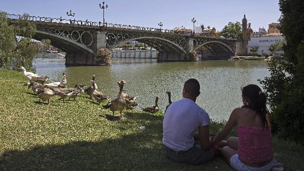 Tiempo en Sevilla: ¿Hasta cuándo durará el tiempo primaveral en Sevilla?