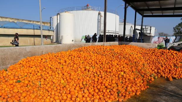 Naranjas amargas, el combustible que mueve la gran depuradora de Emasesa