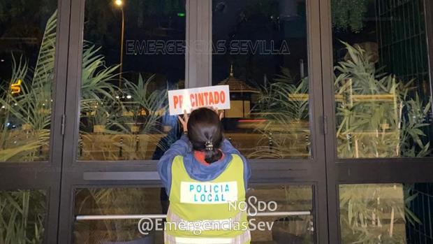 Precintados seis bares y denunciados otros cinco en el entorno de Paseo Colón y Adriano en Sevilla