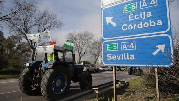 Todas las imágenes de la tractorada en Sevilla en la que han participado 16.000 agricultores