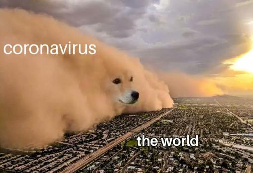 El ingenio se agudiza: los «memes» durante el confinamiento por el coronavirus