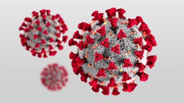 Recibe cada día la última hora sobre el coronavirus con esta newsletter especial