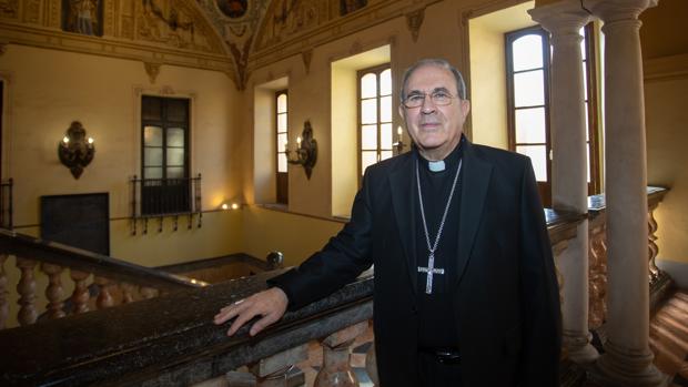 Sigue en directo la misa de domingo del arzobispo de Sevilla, Juan José Asenjo