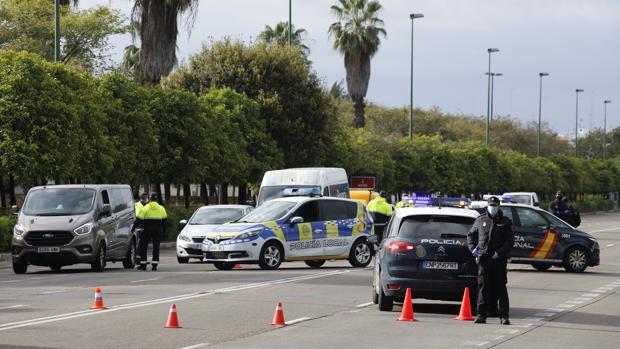 La Policía Local de Sevilla interpone 74 denuncias y ninguna detención tras más de 1.500 actuaciones