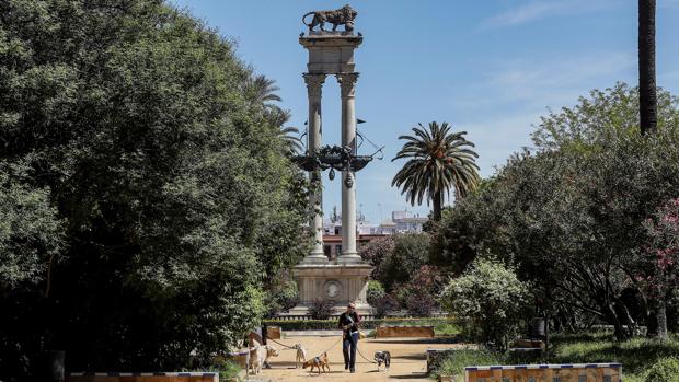 Día 46 de encierro en Sevilla: la desescalada como camino hacia un verano luminoso