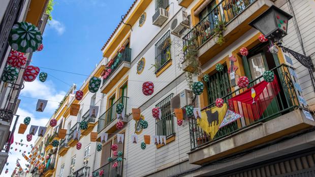 Día 48 de encierro en Sevilla: a la espera de volver a las calles para refrescar la mente