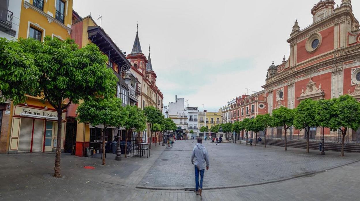 Los jóvenes disparaban a las aves que se posan en la plaza del Salvador