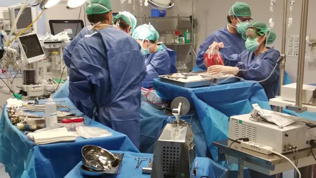 El Hospital San Juan de Dios del Aljarafe extrae seis órganos de dos donaciones en plena pandemia