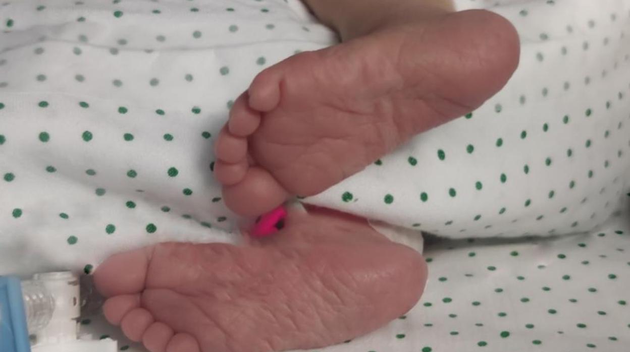 Imagen de los pies del bebé recién nacido