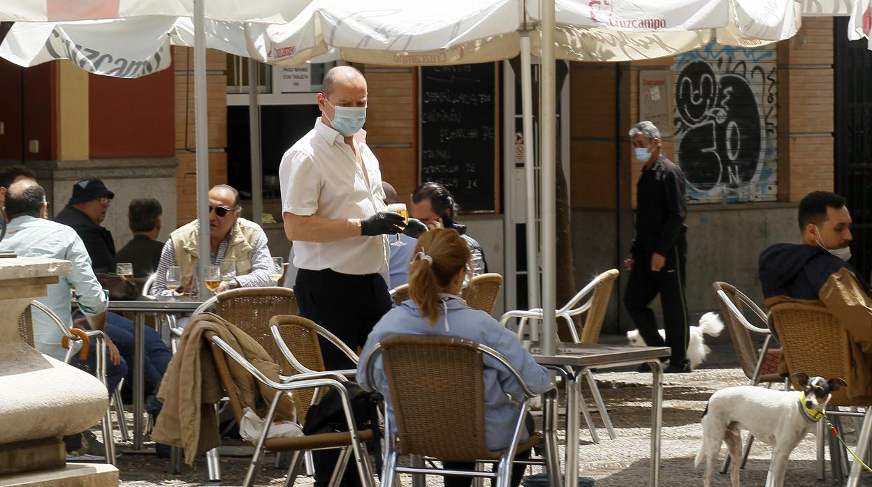 Un camarero sirve una cerveza en un bar del centro de Sevilla