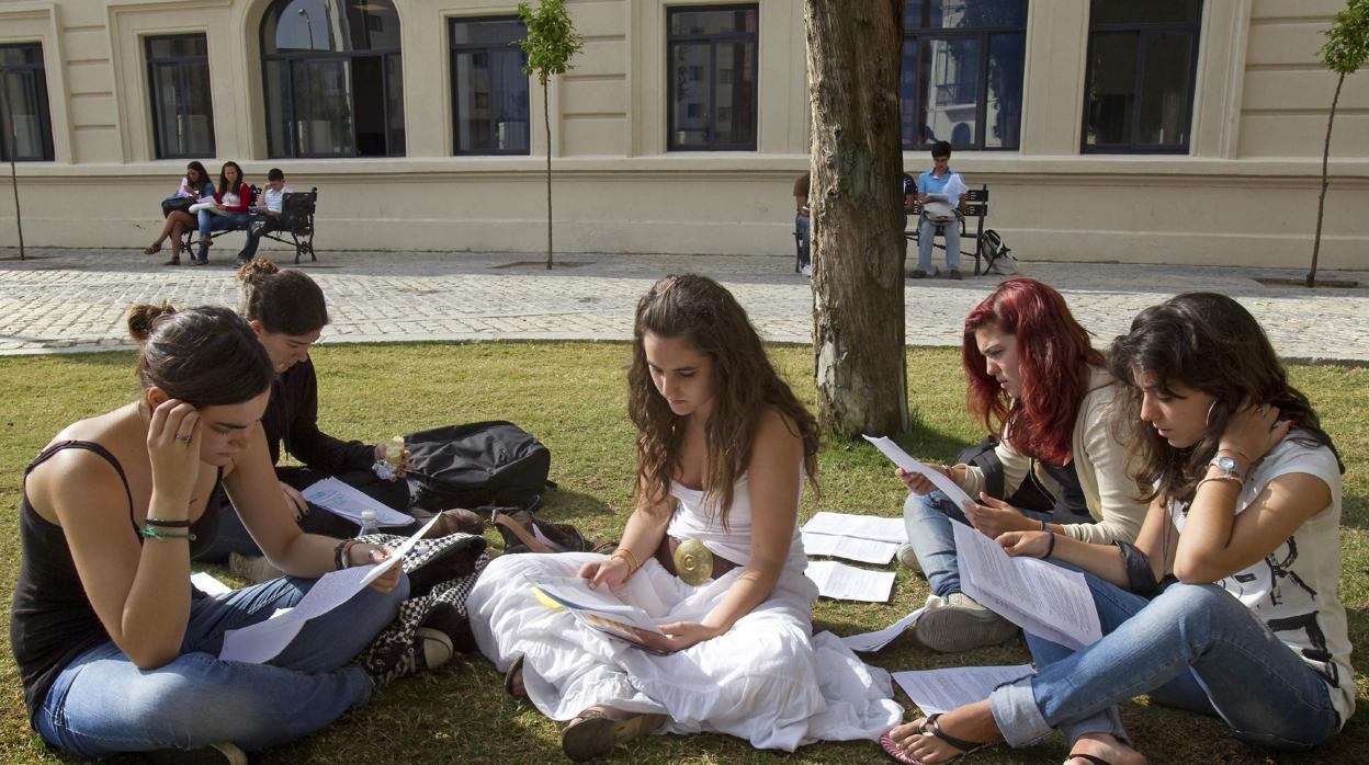 Jóvenes repasan apuntes en el césped