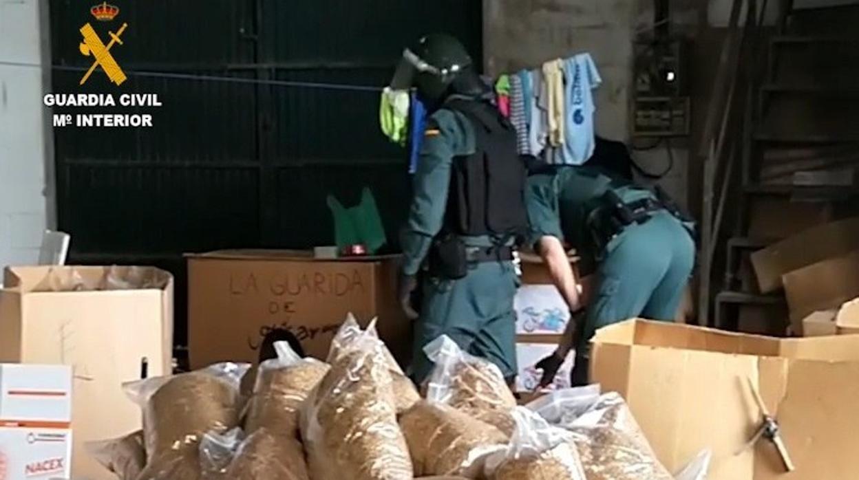 Material incautado en la operación Mutig en la que se han intervenido 34.800 kilos de tabaco de contrabando