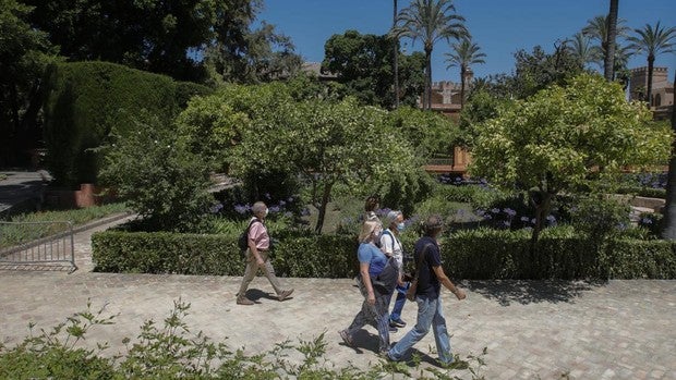 Las naranjas de la reina Isabel II son del Alcázar de Sevilla