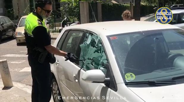 Denunciada una vecina de Sevilla por dejar a su perro dentro del coche durante varias horas y a 40 grados